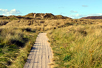 Sand Dunes